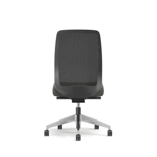 Bolton, High-Back, Task Chair, Mesh, No Arms, Back View