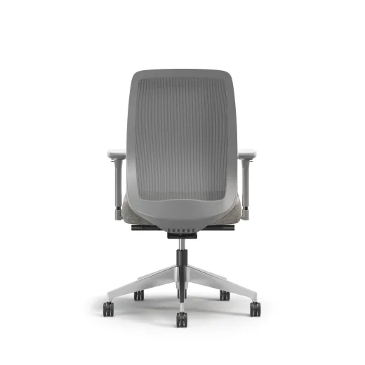 Bolton, Task Chair, High-Back, Mesh, Back View