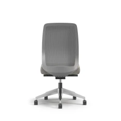 Bolton, Task Chair, High-Back, Mesh, No Arms, Back View