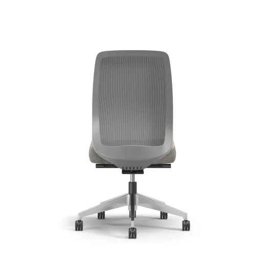 Bolton, Task Chair, High-Back, Mesh, No Arms, Back View