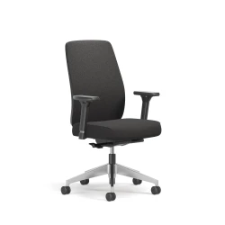 Bolton, High-Back, Task Chair, Upholstered, 3/4 View