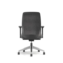 Bolton, High-Back, Task Chair, Upholstered, Back View