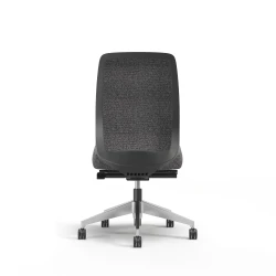 Bolton, High-Back, Task Chair, Upholstered, No Arms, Back View