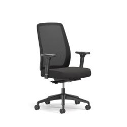 Bolton, High-Back, Task Chair, 3/4 View