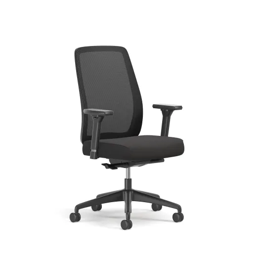 Bolton, High-Back, Task Chair, 3/4 View