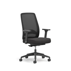 Bolton, High-Back, Task Chair, Lumbar, 3/4 View