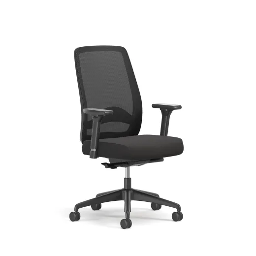 Bolton, High-Back, Task Chair, Lumbar, 3/4 View