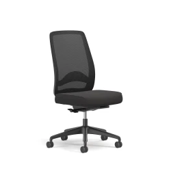 Bolton, High-Back, Task Chair, Lumbar, No Arms, 3/4 View