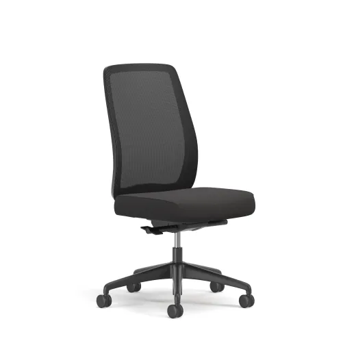 Bolton, High-Back, Task Chair, Mesh, No Arms, 3/4 View