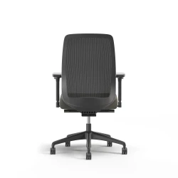 Bolton, Task Chair, High-Back, Back View