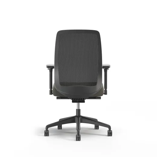 Bolton, Task Chair, High-Back, Back View