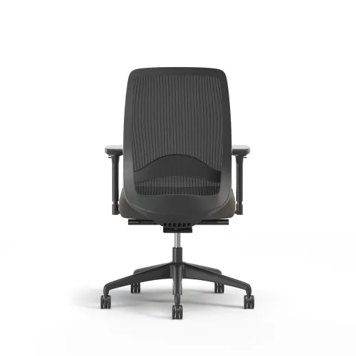 Bolton, Task Chair, High-Back, Lumbar, Back View