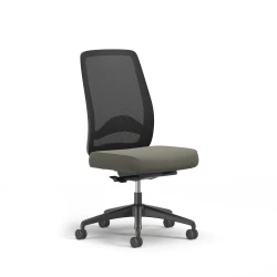 Bolton, Task Chair, High-Back, Lumbar, No Arms, 3/4 View
