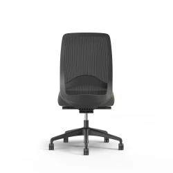 Bolton, Task Chair, High-Back, Lumbar, No Arms, Back View
