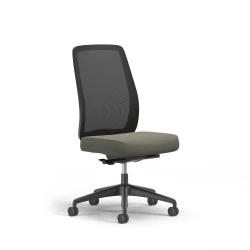 Bolton, Task Chair, High-Back, Mesh, No Arms, 3/4 View
