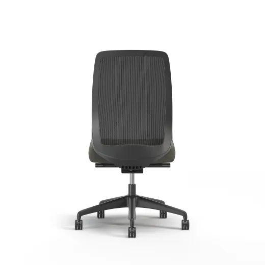 Bolton, Task Chair, High-Back, Mesh, No Arms, Back View