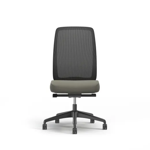 Bolton, Task Chair, High-Back, Mesh, No Arms, Front View