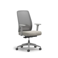 Bolton, Task Chair, High-Back, Mesh, Lumbar, 3/4 View