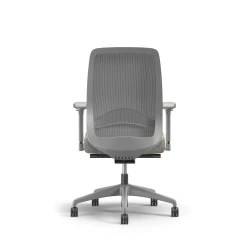 Bolton, Task Chair, High-Back, Mesh, Lumbar, Back View