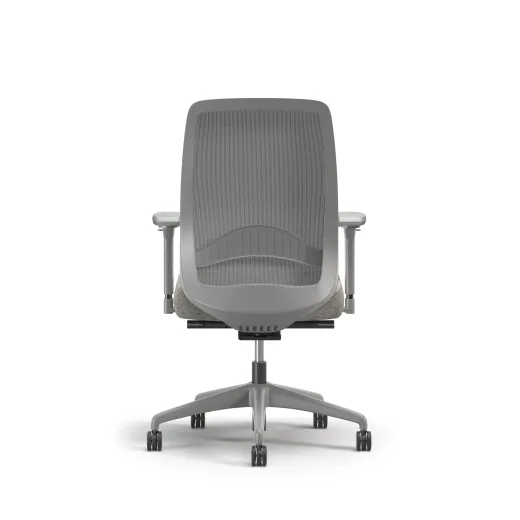 Bolton, Task Chair, High-Back, Mesh, Lumbar, Back View