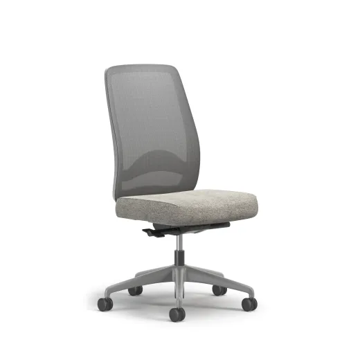 Bolton, Task Chair, High-Back, Mesh, Lumbar, No Arms, 3/4 View