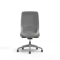 Bolton, Task Chair, High-Back, Mesh, Lumbar, No Arms, Back View
