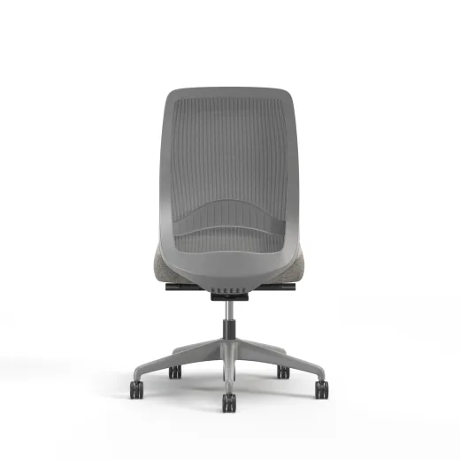 Bolton, Task Chair, High-Back, Mesh, Lumbar, No Arms, Back View