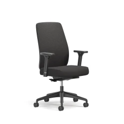Bolton, High-Back, Task Chair, Upholstered, 3/4 View