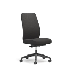 Bolton, High-Back, Task Chair, Upholstered, No Arms, 3/4 View