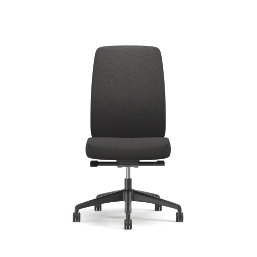 Bolton, High-Back, Task Chair, Upholstered, No Arms, Front View