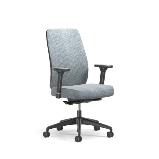 Bolton, Task Chair, High Back, Upholstered, 3/4 View