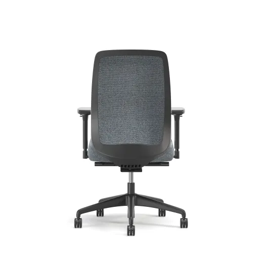 Bolton, Task Chair, High Back, Upholstered, Back View