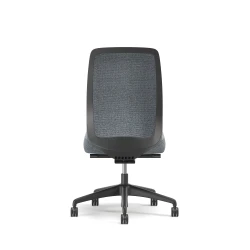 Bolton, Task Chair, High Back, Upholstered, No Arms, Back View
