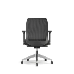 Bolton, Task Chair, Mid-Back, Mesh, Back View