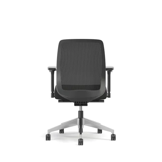 Bolton, Task Chair, Mid-Back, Mesh, Back View