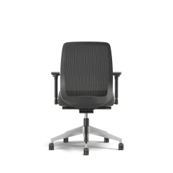 Bolton, Task Chair, Mid-Back, Mesh, Back View