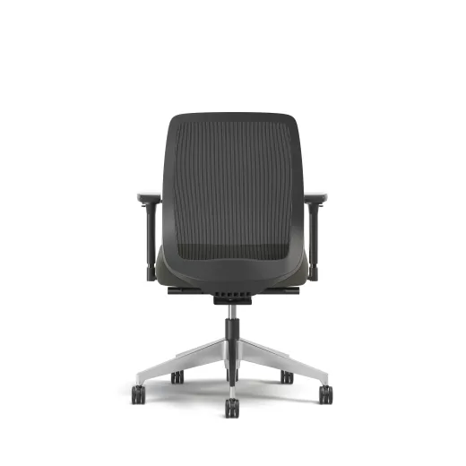 Bolton, Task Chair, Mid-Back, Mesh, Back View