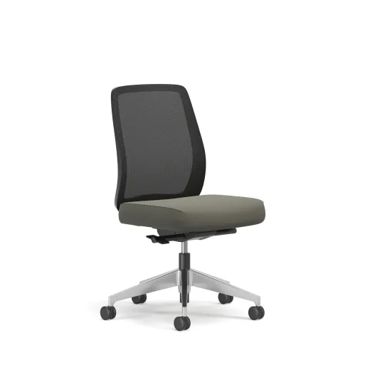 Bolton, Task Chair, Mid-Back, Mesh, No Arms, 3/4 View
