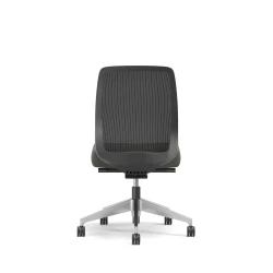 Bolton, Task Chair, Mid-Back, Mesh, No Arms, Back View