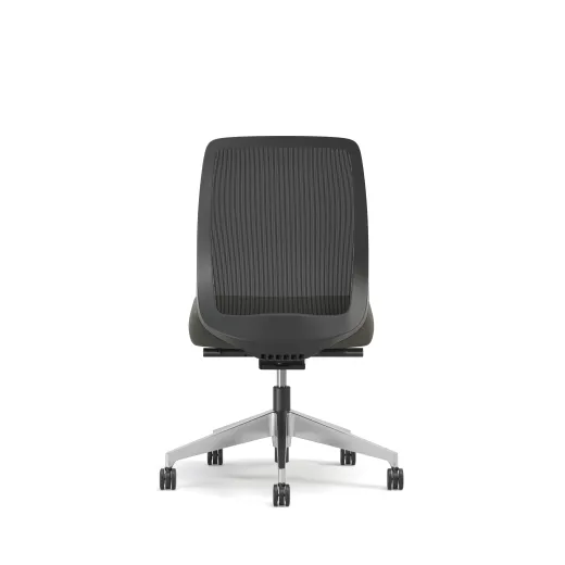 Bolton, Task Chair, Mid-Back, Mesh, No Arms, Back View