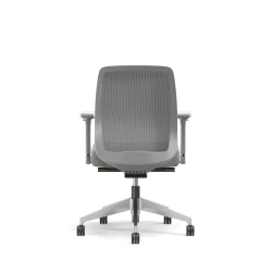 Bolton, Task Chair, Mid-Back, Mesh, Back View