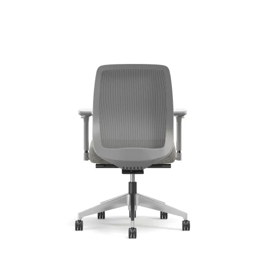 Bolton, Task Chair, Mid-Back, Mesh, Back View