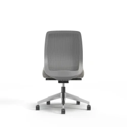 Bolton, Task Chair, Mid-Back, Mesh, No Arms, Back View