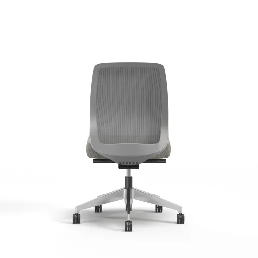 Bolton, Task Chair, Mid-Back, Mesh, No Arms, Back View