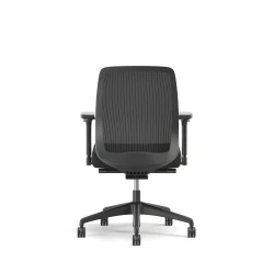 Bolton, Task Chair, Mid-Back, Mesh, Back View