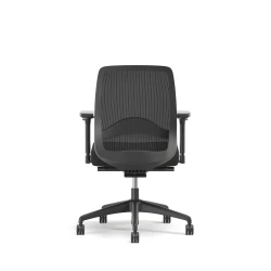 Bolton, Task Chair, Mid-Back, Mesh, Lumbar, Back View