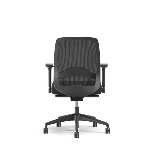 Bolton, Task Chair, Mid-Back, Mesh, Lumbar, Back View