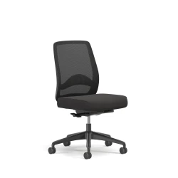 Bolton, Task Chair, Mid-Back, Mesh, Lumbar, No Arms, 3/4 View