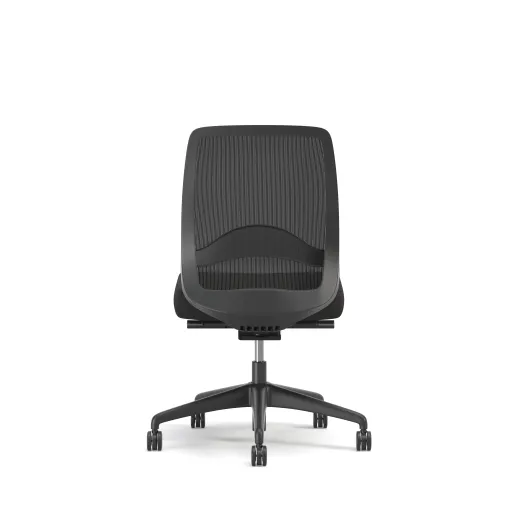 Bolton, Task Chair, Mid-Back, Mesh, Lumbar, No Arms, Back View