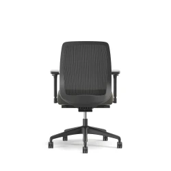 Bolton, Task Chair, Mid-Back, Mesh, Back View